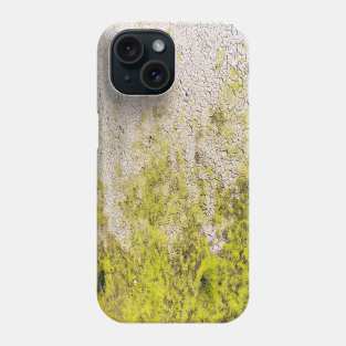 Green Arid Crumbling Texture Phone Case