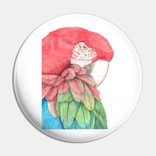 macaw macao watercolor portrait painting Pin