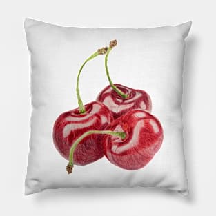 Cherry Drawing Pillow