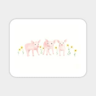Pigs and Daisies Magnet