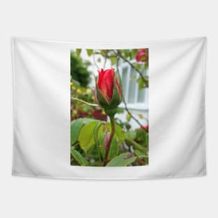 red rosebud Tapestry