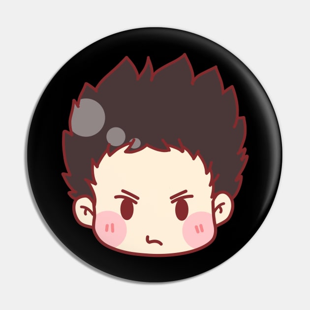 Seriously Cute Iwaizumi Pin by Piliponia