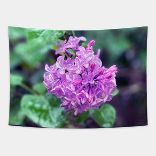 Spring Flowers Tapestry