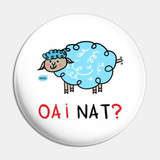 OAI nat? Pin