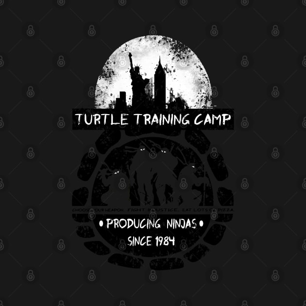 Turtle Training Camp by Vitalitee