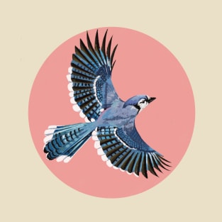 Blue jay T-Shirt