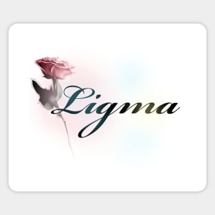 Ligma Sticker for Sale by TeutonDesigns