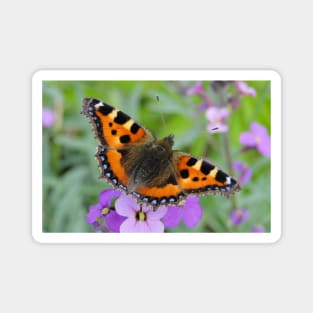 Small Tortoiseshell Butterfly Magnet