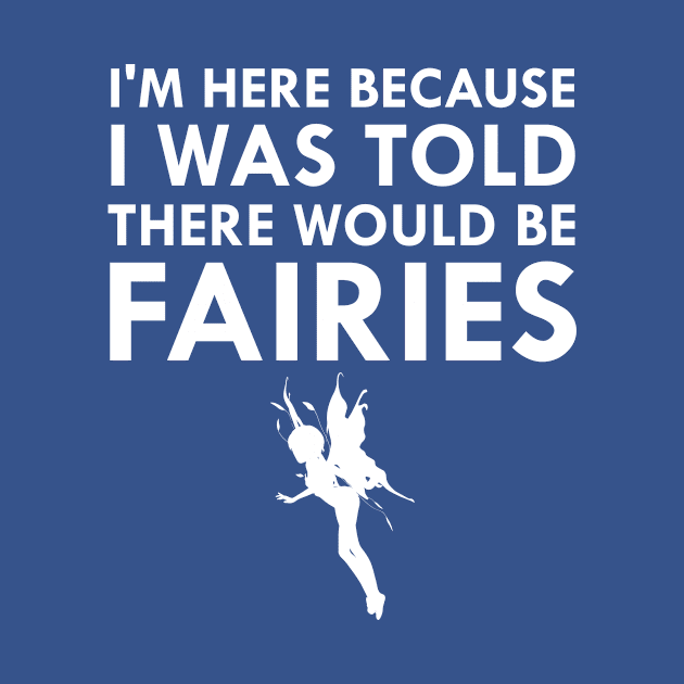 I Was Told There Would Be Fairies Magical Fairy Tale by FlashMac