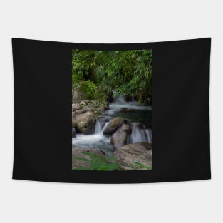 Apparel, home, tech and travel design Tapestry