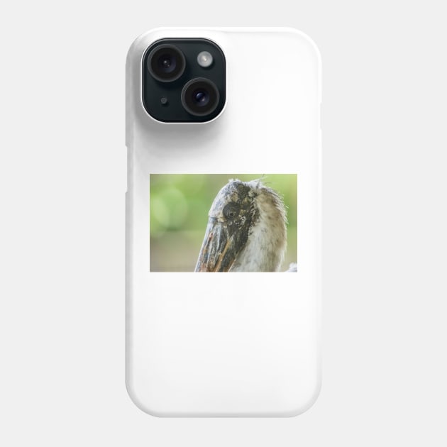 Up close with Wood stork Phone Case by KensLensDesigns