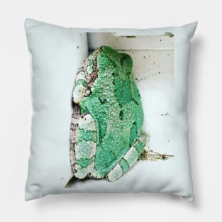 Sleeping Tree Frog Pillow