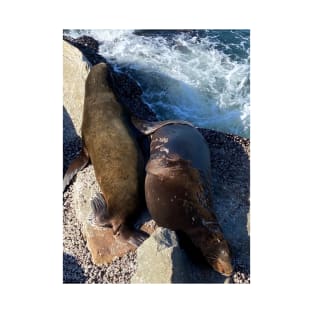 Sea Lion "Having his friend's behind" T-Shirt