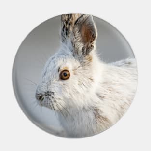 Snowshoe Hare Pin
