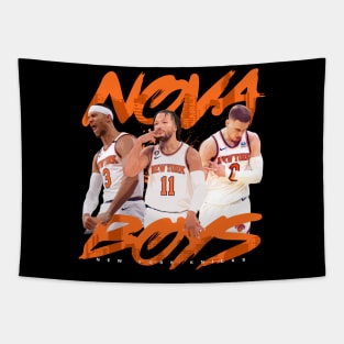 New York Knicks Nova Boys Tapestry