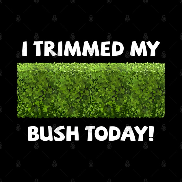 Gardening - I Trimmed My Bush Today by Kudostees