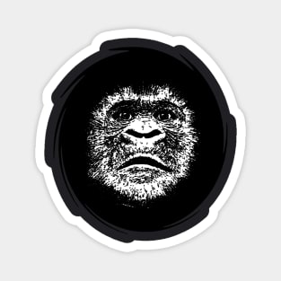 Face Of A Great Ape Scratchboard Art Illustration Magnet