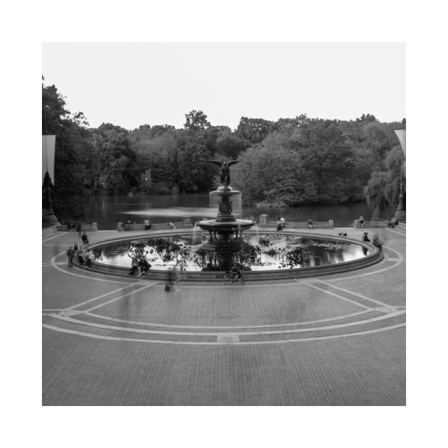 Central Park Black and White by igjustin