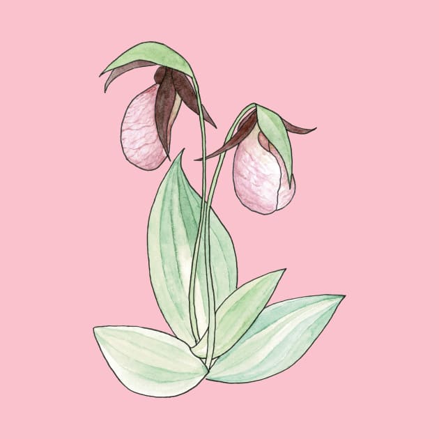 Pink Lady's Slipper Orchid Watercolor Illustration by Danica Templeton Art