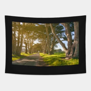 Cypress Tunnel Tapestry