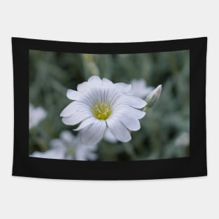 White flower Tapestry