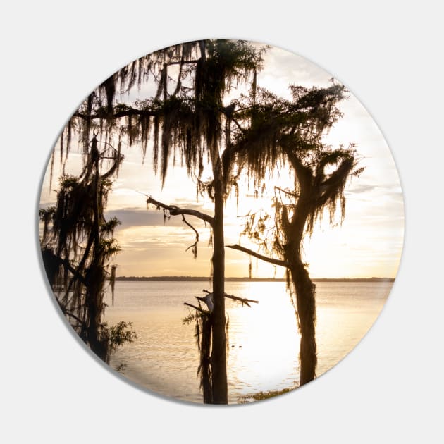 Florida Sunset - Jacksonville, St. John's River Pin by SafariByMarisa