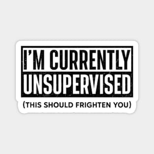 I Am Currently Unsupervised Funny Magnet