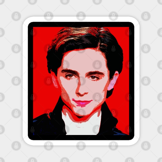 timothee chalamet Magnet by oryan80