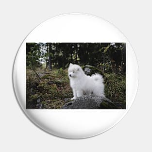 Samoyed dog puppy in the forest Pin