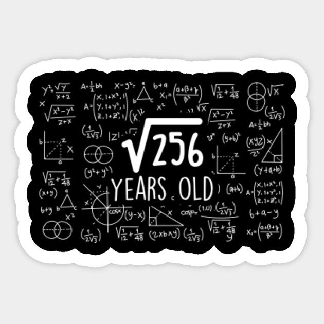 16 Geburtstag Party Geschenk Wurzel Aus 256 Years Old Mathe 16