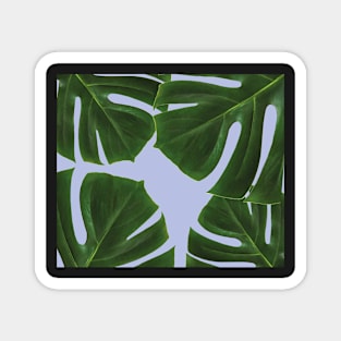 Copy of Copy of Graphic green palm leaves, blue background Magnet