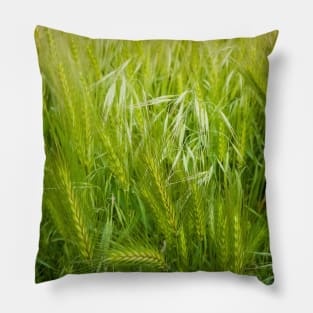 Blooming wild foxtail plants Pillow