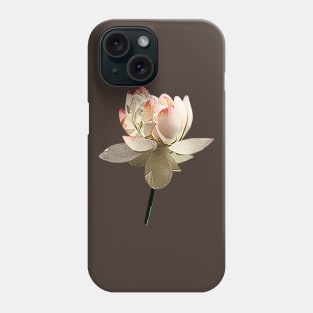 Lotus - Delicate Pink Lotus Phone Case