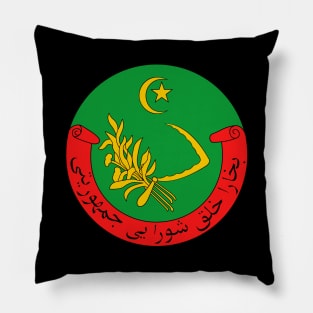 Emblem  of  the  Bukharan  People's  Soviet  Republic Pillow