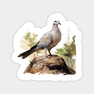 Collared Dove Magnet