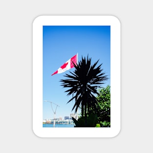 Of palm trees and Canada Magnet