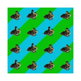 Baby Ducks on Grass Green and Sky Blue Pattern T-Shirt