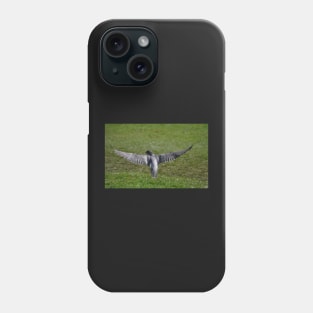 A Peregrine's wingspan Phone Case
