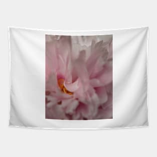 Macro Peony Tapestry