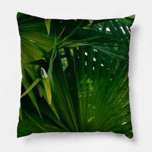 Palm tree - tropical green - nature photography Pillow