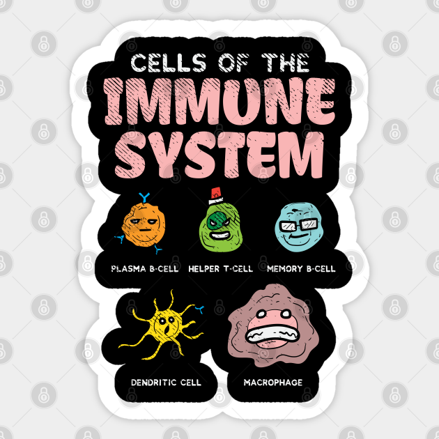 Cells Of The Immune System - Science - Sticker