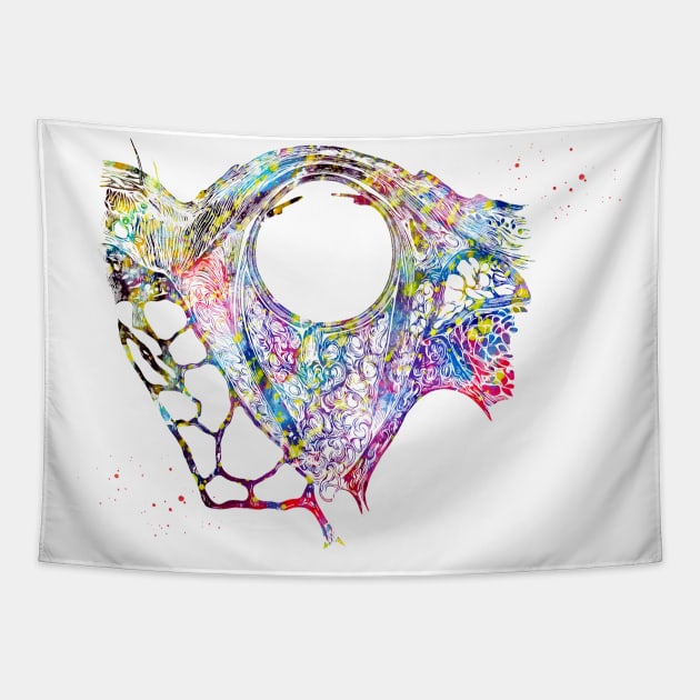 Eye Anatomy Tapestry by erzebeth