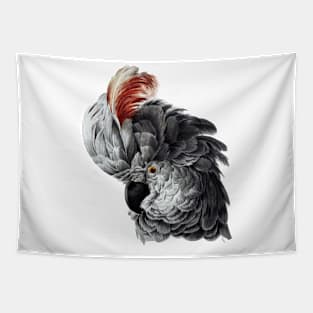 Parrot with red "hair" Tapestry