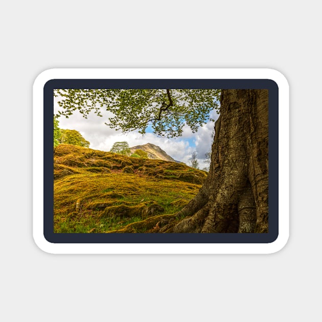 Helm Crag Above The Village Of Grasmere, Lake District Magnet by tommysphotos