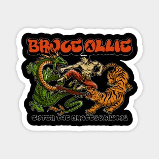 Enter The Skateboarding Magnet