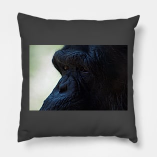 Gorrilla Pillow