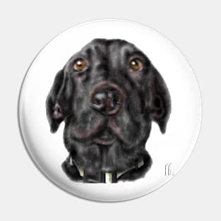 A Very Serious Black Labrador Retriever Pin