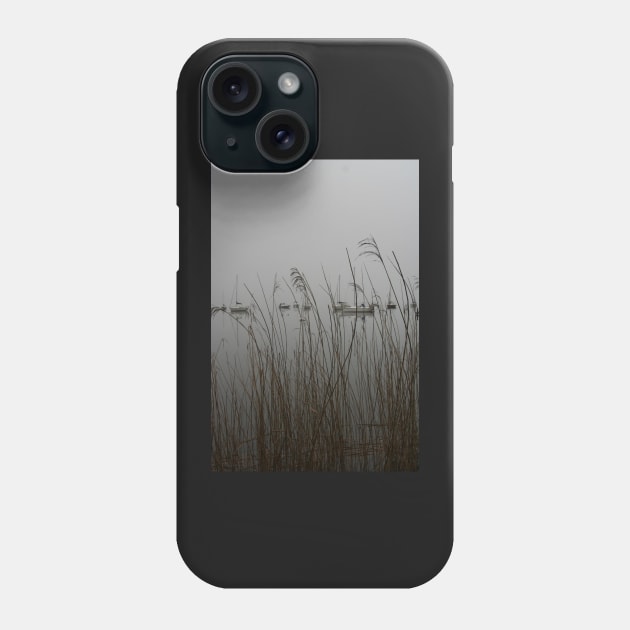 Lakes: mist Phone Case by Jonesyinc