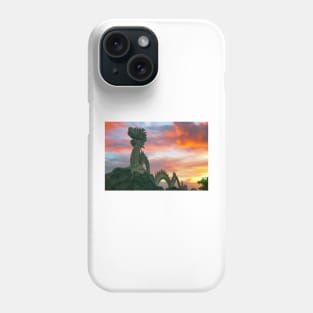 Mua Cave Vietnam Phone Case