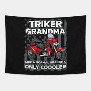 Triker Grandma Tapestry